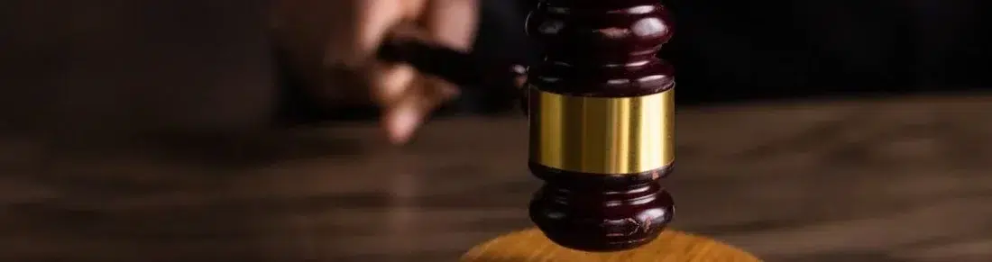 Deelgeschilprocedure